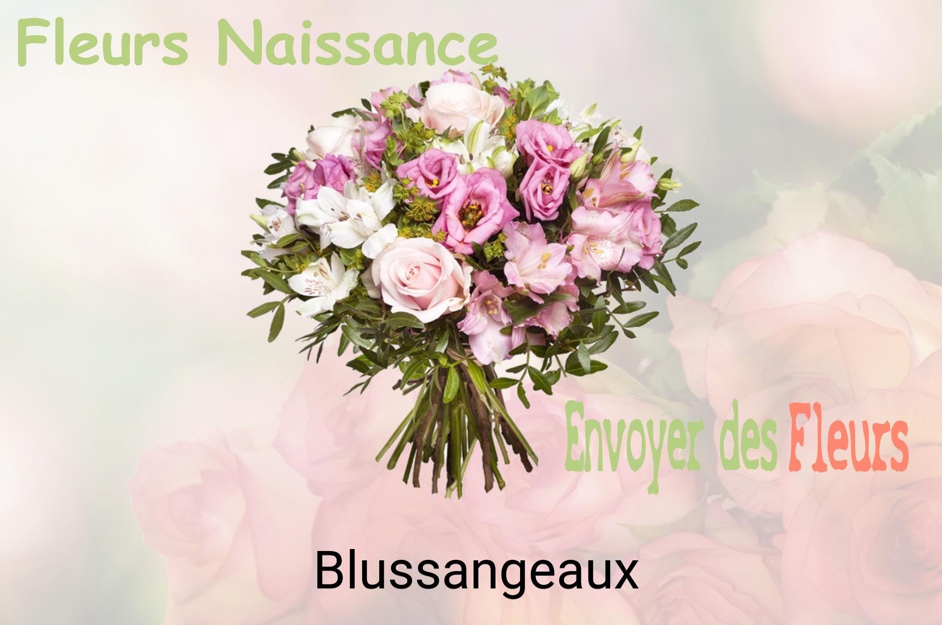 Bouquet de fleurs de naissance livré à Blussangeaux