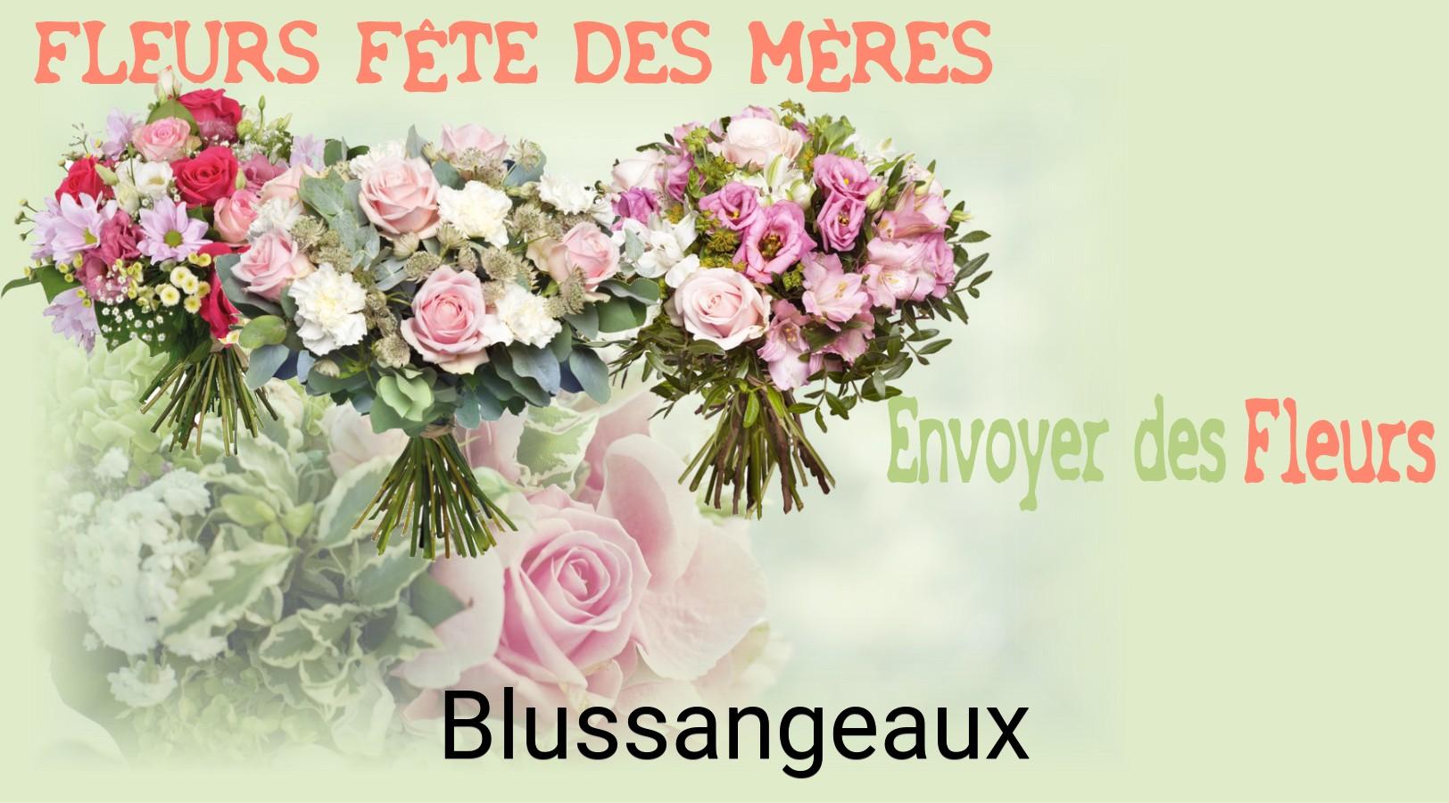 Bouquet de Fête des Mères livré à Blussangeaux